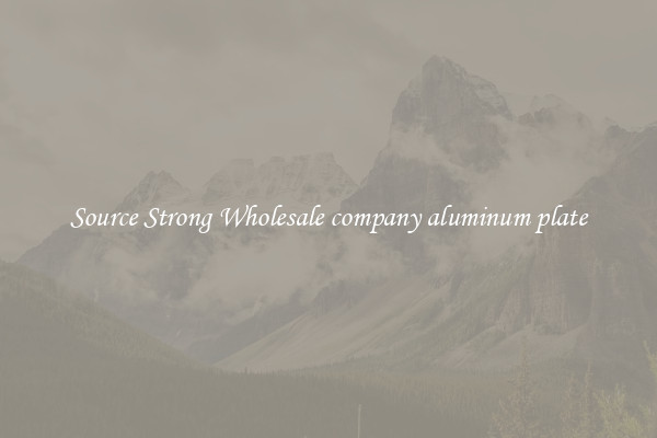 Source Strong Wholesale company aluminum plate