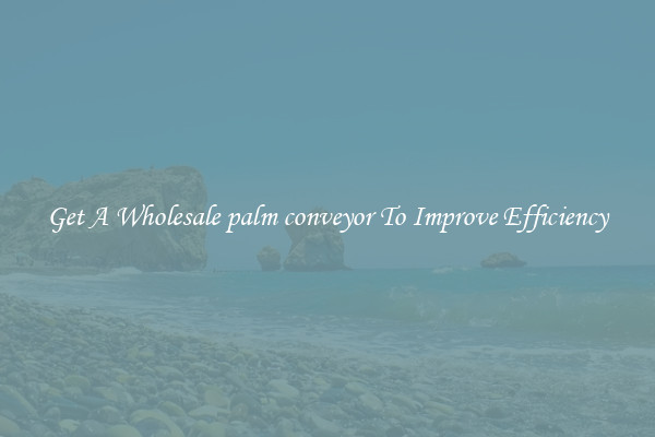Get A Wholesale palm conveyor To Improve Efficiency