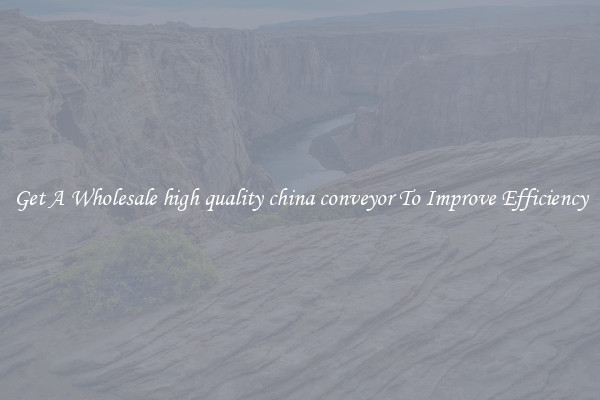 Get A Wholesale high quality china conveyor To Improve Efficiency