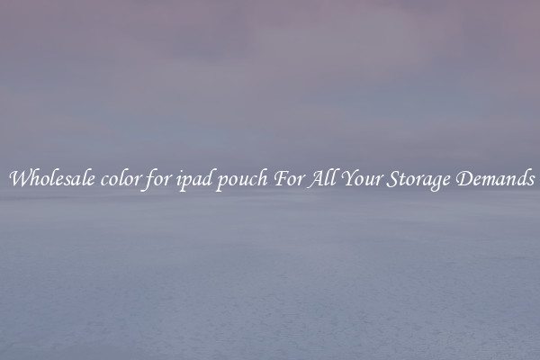 Wholesale color for ipad pouch For All Your Storage Demands