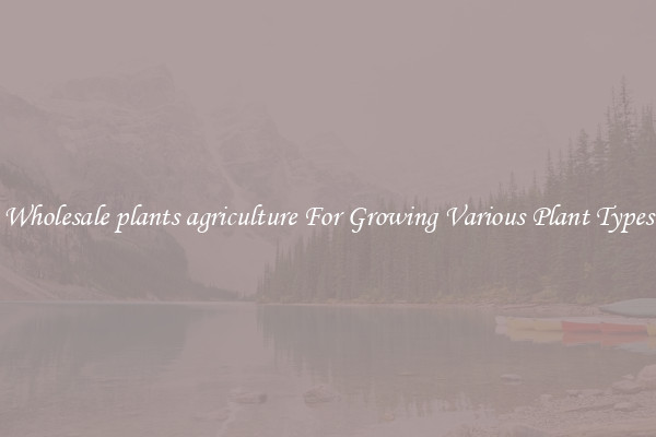 Wholesale plants agriculture For Growing Various Plant Types