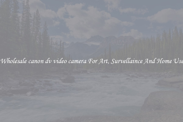 Wholesale canon dv video camera For Art, Survellaince And Home Use