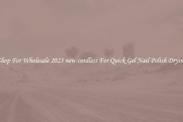 Shop For Wholesale 2023 new cordless For Quick Gel Nail Polish Drying