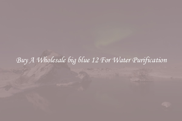 Buy A Wholesale big blue 12 For Water Purification