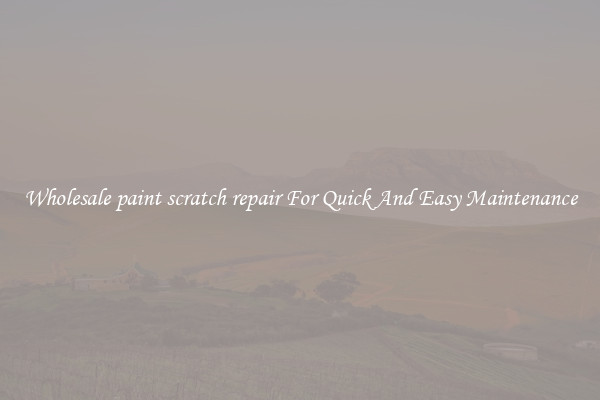 Wholesale paint scratch repair For Quick And Easy Maintenance