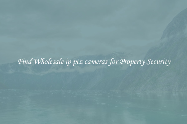 Find Wholesale ip ptz cameras for Property Security