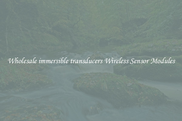 Wholesale immersible transducers Wireless Sensor Modules