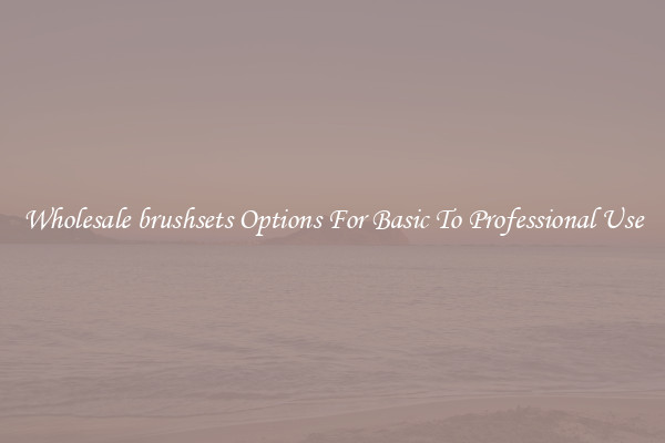 Wholesale brushsets Options For Basic To Professional Use
