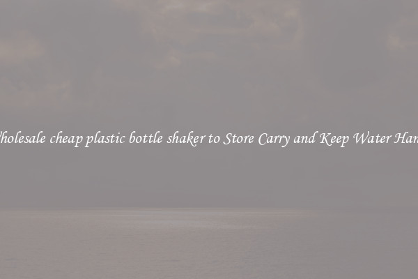 Wholesale cheap plastic bottle shaker to Store Carry and Keep Water Handy