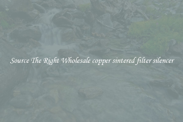 Source The Right Wholesale copper sintered filter silencer