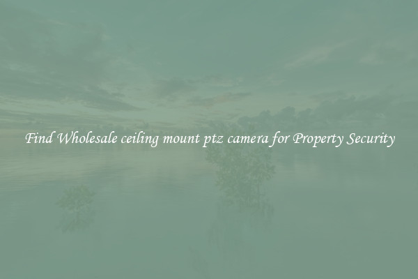 Find Wholesale ceiling mount ptz camera for Property Security