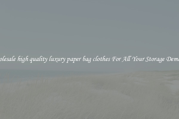 Wholesale high quality luxury paper bag clothes For All Your Storage Demands