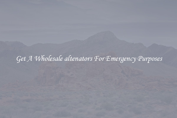 Get A Wholesale altenators For Emergency Purposes