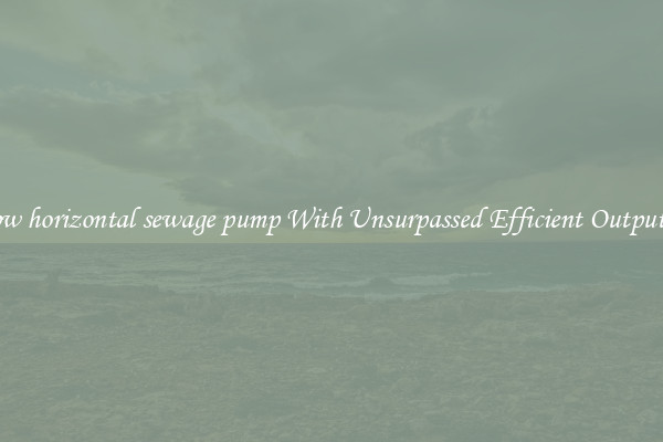 pw horizontal sewage pump With Unsurpassed Efficient Outputs