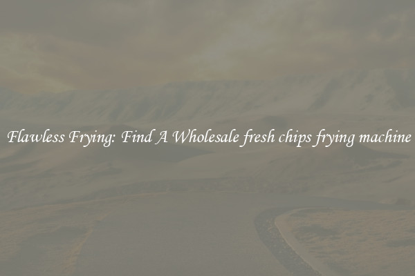 Flawless Frying: Find A Wholesale fresh chips frying machine