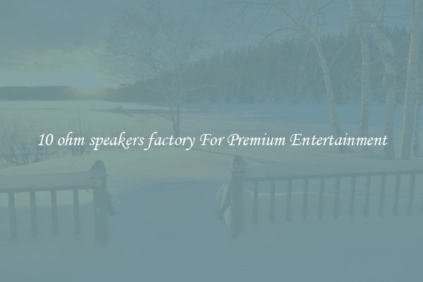10 ohm speakers factory For Premium Entertainment